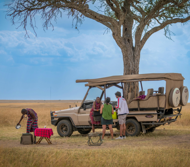 Twende Safari